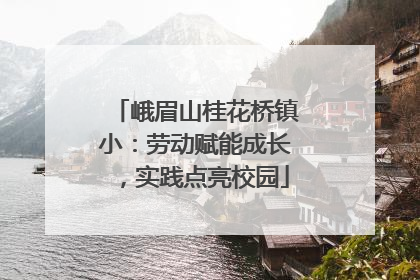 峨眉山桂花桥镇小：劳动赋能成长，实践点亮校园