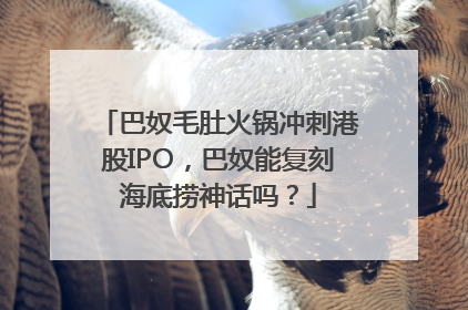 巴奴毛肚火锅冲刺港股IPO，巴奴能复刻海底捞神话吗？