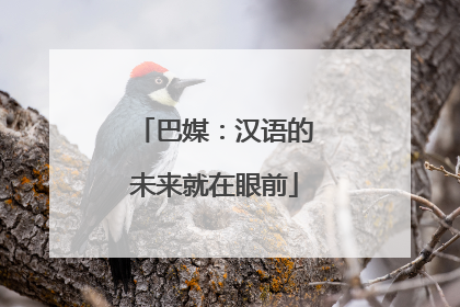 巴媒：汉语的未来就在眼前