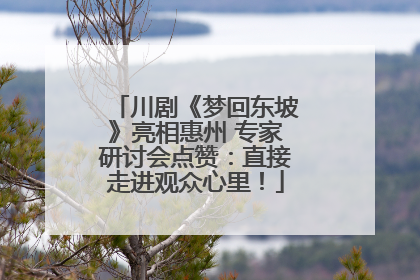 川剧《梦回东坡》亮相惠州 专家研讨会点赞：直接走进观众心里！
