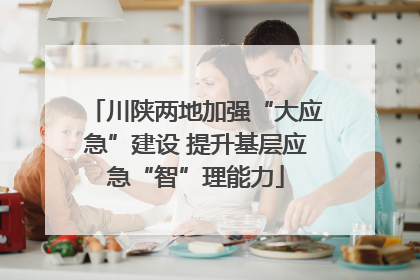 川陕两地加强“大应急”建设 提升基层应急“智”理能力