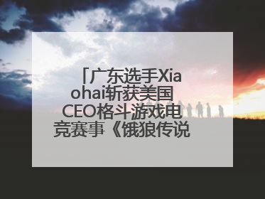 广东选手Xiaohai斩获美国CEO格斗游戏电竞赛事《饿狼传说》项目冠军