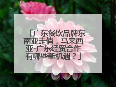 广东餐饮品牌东南亚走俏，马来西亚-广东经贸合作有哪些新机遇？