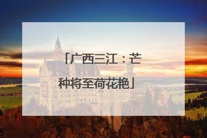 广西三江：芒种将至荷花艳