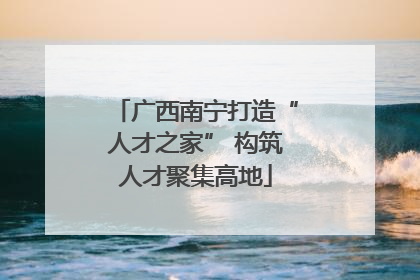 广西南宁打造“人才之家” 构筑人才聚集高地