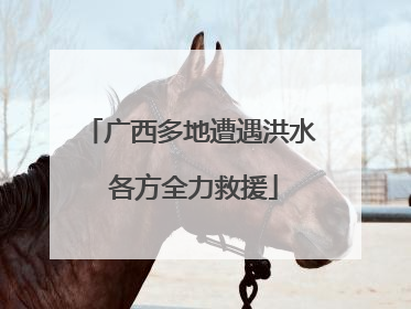 广西多地遭遇洪水 各方全力救援