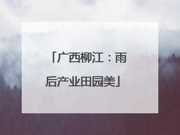 广西柳江：雨后产业田园美
