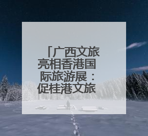 广西文旅亮相香港国际旅游展：促桂港文旅合作 引客入壮乡