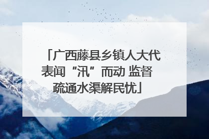 广西藤县乡镇人大代表闻“汛”而动 监督疏通水渠解民忧