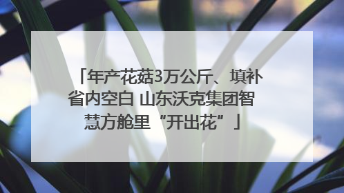 年产花菇3万公斤、填补省内空白 山东沃克集团智慧方舱里“开出花”