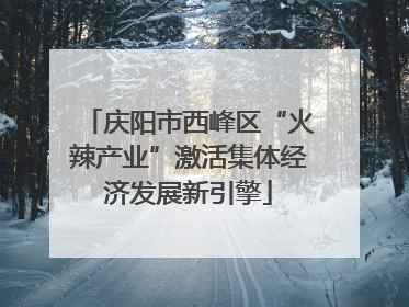 庆阳市西峰区“火辣产业”激活集体经济发展新引擎