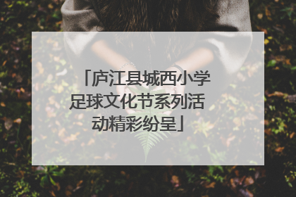 庐江县城西小学足球文化节系列活动精彩纷呈