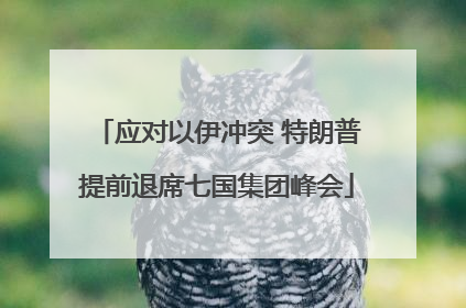 应对以伊冲突 特朗普提前退席七国集团峰会