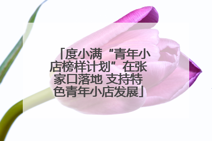 度小满“青年小店榜样计划”在张家口落地 支持特色青年小店发展