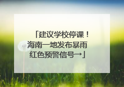 建议学校停课！海南一地发布暴雨红色预警信号→