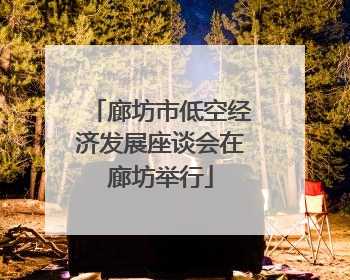 廊坊市低空经济发展座谈会在廊坊举行