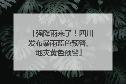 强降雨来了！四川发布暴雨蓝色预警、地灾黄色预警
