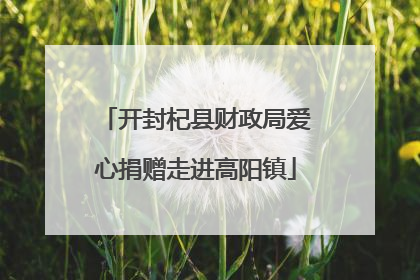 开封杞县财政局爱心捐赠走进高阳镇
