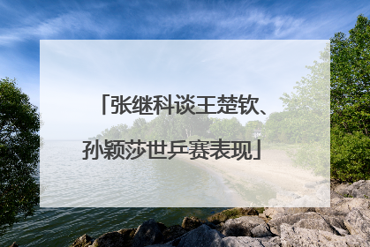 张继科谈王楚钦、孙颖莎世乒赛表现