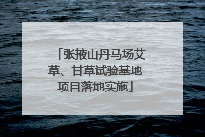张掖山丹马场艾草、甘草试验基地项目落地实施