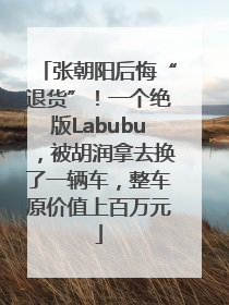 张朝阳后悔“退货”！一个绝版Labubu，被胡润拿去换了一辆车，整车原价值上百万元