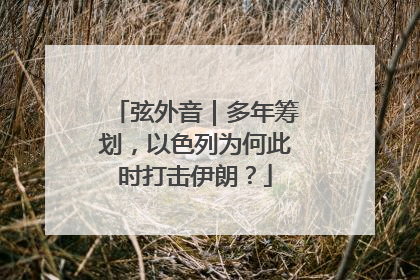 弦外音｜多年筹划，以色列为何此时打击伊朗？