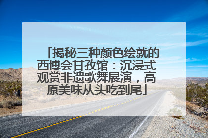 揭秘三种颜色绘就的西博会甘孜馆：沉浸式观赏非遗歌舞展演，高原美味从头吃到尾