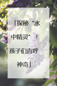 探秘“水中精灵”！孩子们直呼神奇