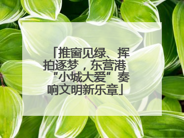 推窗见绿、挥拍逐梦，东营港“小城大爱”奏响文明新乐章
