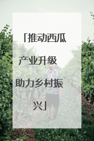 推动西瓜产业升级 助力乡村振兴