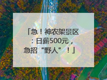 急！神农架景区：日薪500元，急招“野人”！
