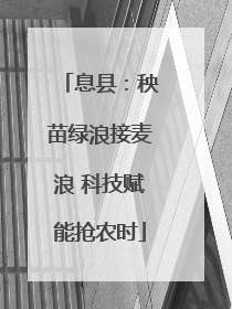 息县：秧苗绿浪接麦浪 科技赋能抢农时
