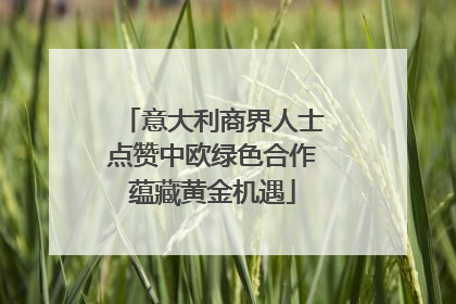 意大利商界人士点赞中欧绿色合作蕴藏黄金机遇