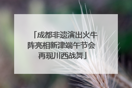 成都非遗演出火牛阵亮相新津端午节会 再现川西战舞