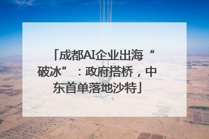 成都AI企业出海“破冰”：政府搭桥，中东首单落地沙特