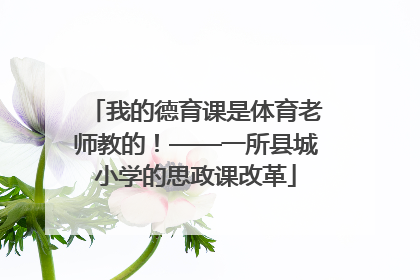 我的德育课是体育老师教的！——一所县城小学的思政课改革