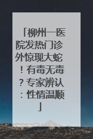 柳州一医院发热门诊外惊现大蛇！有毒无毒？专家辨认：性情温顺