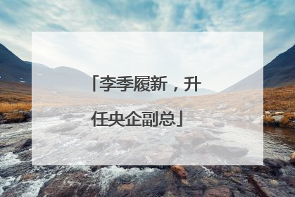 李季履新，升任央企副总
