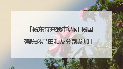杨东奇来我市调研 杨国强陈必昌田和友分别参加