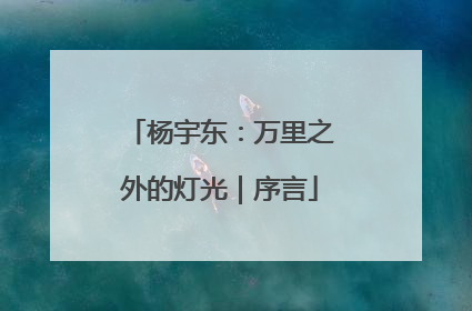 杨宇东：万里之外的灯光｜序言