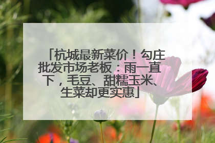 杭城最新菜价！勾庄批发市场老板：雨一直下，毛豆、甜糯玉米、生菜却更实惠