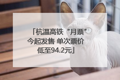 杭温高铁“月票”今起发售 单次票价低至94.2元