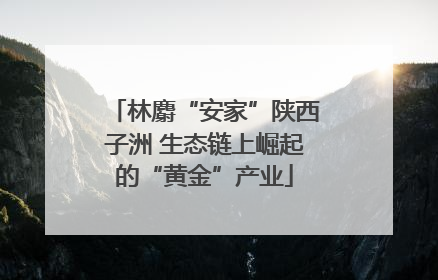 林麝“安家”陕西子洲 生态链上崛起的“黄金”产业