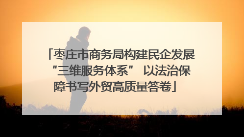 枣庄市商务局构建民企发展“三维服务体系” 以法治保障书写外贸高质量答卷