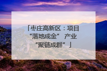 枣庄高新区：项目“落地成金” 产业“聚链成群”