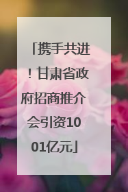 携手共进！甘肃省政府招商推介会引资1001亿元