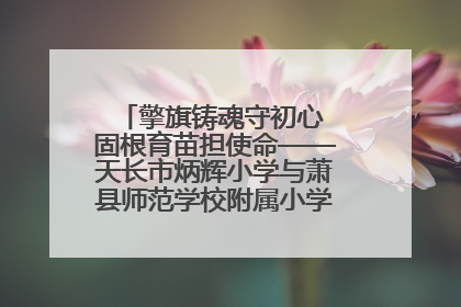 擎旗铸魂守初心 固根育苗担使命——天长市炳辉小学与萧县师范学校附属小学结对共建活动纪实