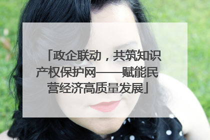 政企联动，共筑知识产权保护网——赋能民营经济高质量发展