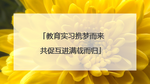 教育实习携梦而来 共促互进满载而归