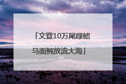文登10万尾绿鳍马面鲀放流大海